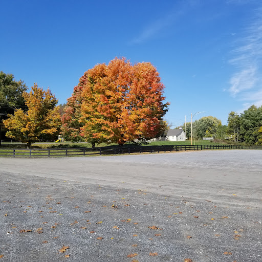 Thomas J Boyce Park Gallery - United States