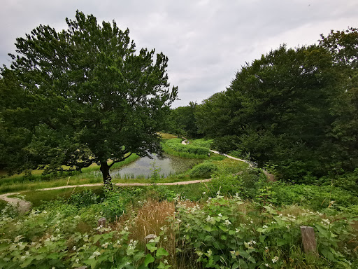 Spiegelvijver - Thumbnail