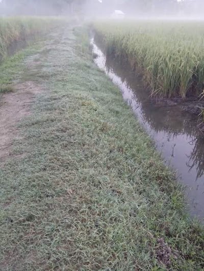 Photos of দিগনগর বাজার