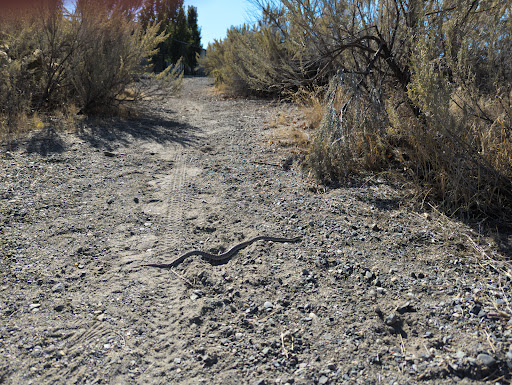 W.E. Johnson Park Trailhead - Thumbnail