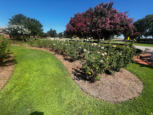 Fayetteville Rose Garden - Thumbnail