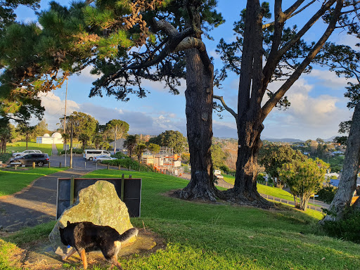 Marsland Hill Reserve - Thumbnail