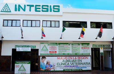 Photos of Instituto Intesis