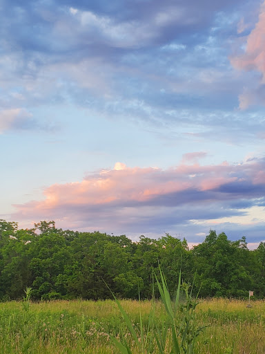 Willows at Brandow Point Gallery - United States