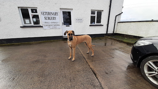 Collins Vets
