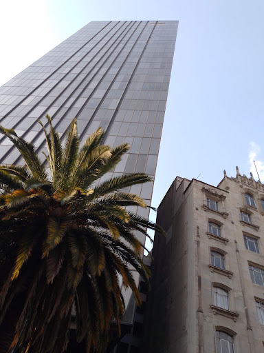 CDMX Mexico - Visual