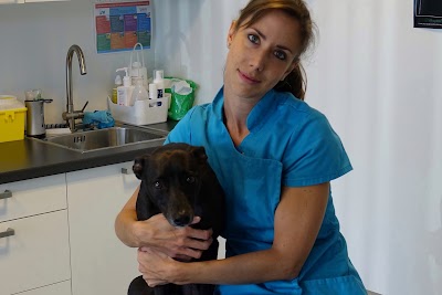 veterinary-care