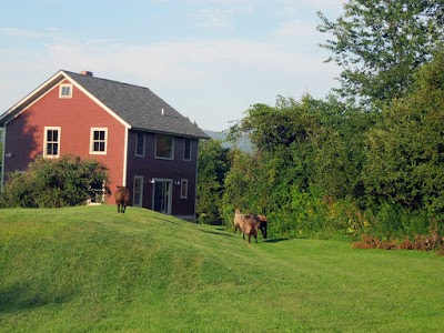 White Oak Construction