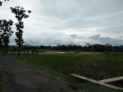 Photos of Cahaya Putra Satriya. CV