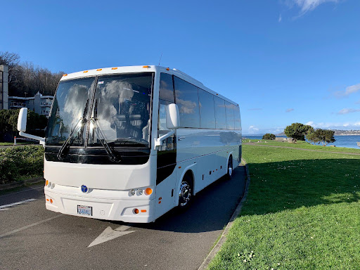 Bus Forceone - Visual