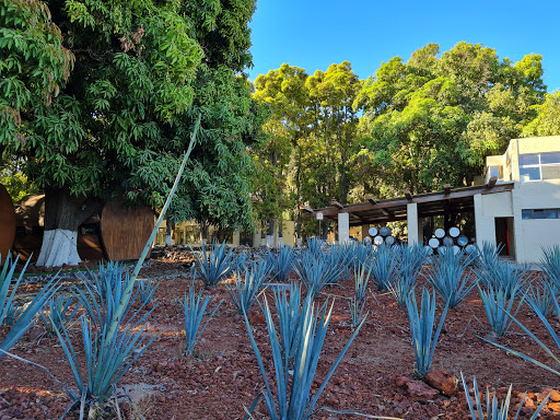 Tequilera Hacienda La Cofradia - Thumbnail