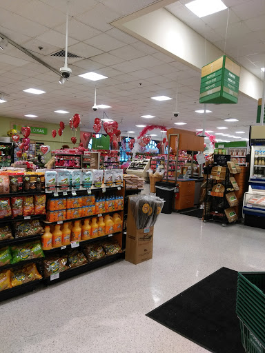Publix Super Market at Indian Lake Marketplace - Thumbnail