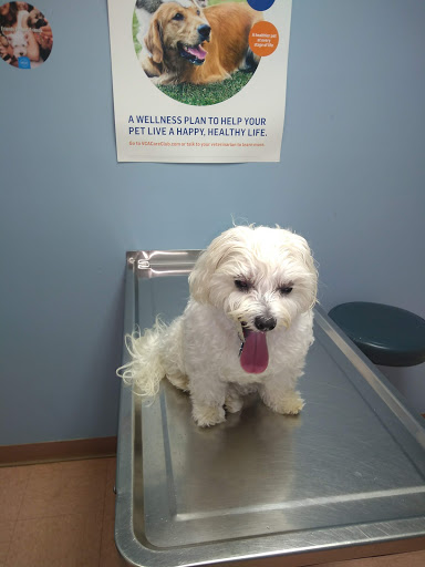 VCA Lakes Region Veterinary Hospital Gallery - United States