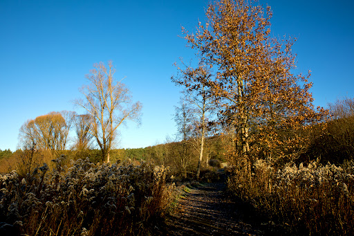 Eulenmühle, Naturerlebnispfad (START) - Thumbnail
