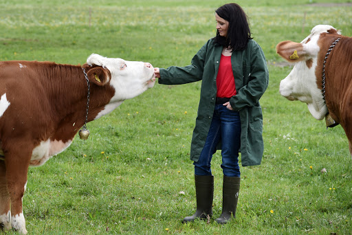 GAILTALVET - Dr. Martina Wassertheurer - Thumbnail