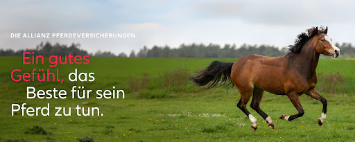Allianz Versicherung Lars Wenckel Generalvertretung in Greifswald
