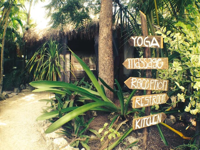 Yoga Shala Tulum
