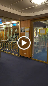 Sunny Side Terrace - ss Rotterdam photo
