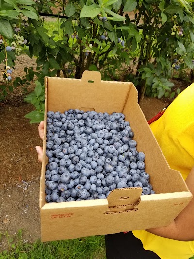 Photos of Cascadian Home Farm