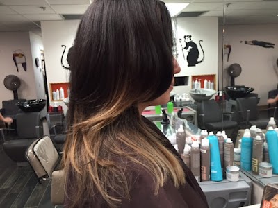Photos of The Little Salon