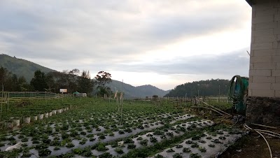 Photos of Pos I Cemoro Sewu