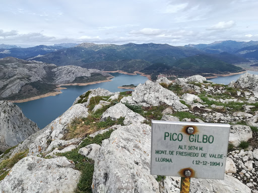 Pico Gilbo - Visual