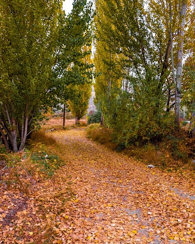 Çankırı belediyesi vrterinerlik hayvan barınağı