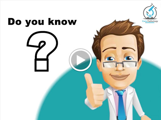 Adult human body consists of 206 bones and out of these 106 are located in your hands and feet.