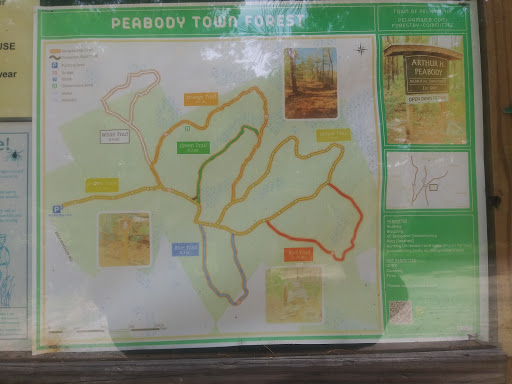 Peabody Town Forest