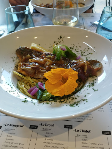 La terre neuve - Bar