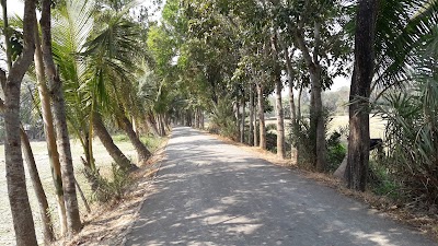 Photos of মাহবুব চেয়ারম্যন রোড়।