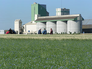 Photo n°6 de Bellanné Thouars (SN Noréa) à Louzy (Magasin d'alimentation animale)