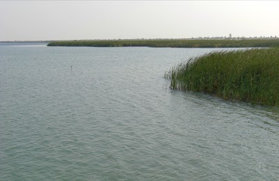 Photos of Olushandja Dam