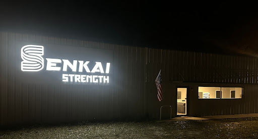 Senkai Strength - Visual