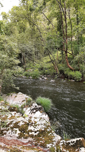 Coto salmonero Estreitos - Spain