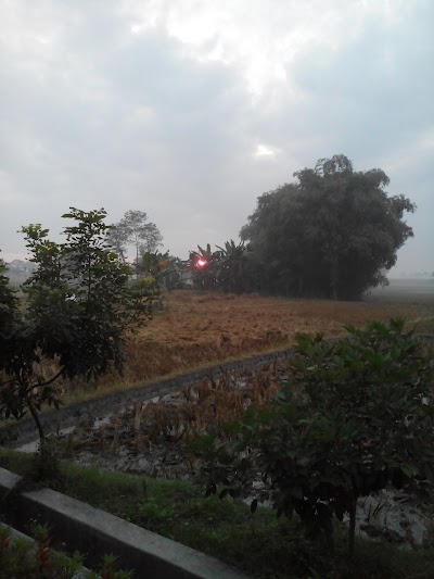 Photos of Kasmi Vegetable