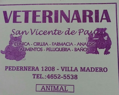 Veterinaria San Vicente de Paul, Author: Quevedo Chacón