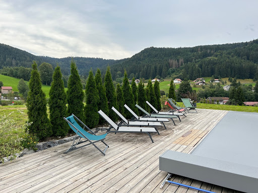 Photo de Villa Les 4 Saisons - piscine, spa et sauna dans un lieu prestigieux à Gérardmer (88400)