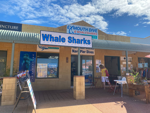 Exmouth Dive & Whaleshark Ningaloo