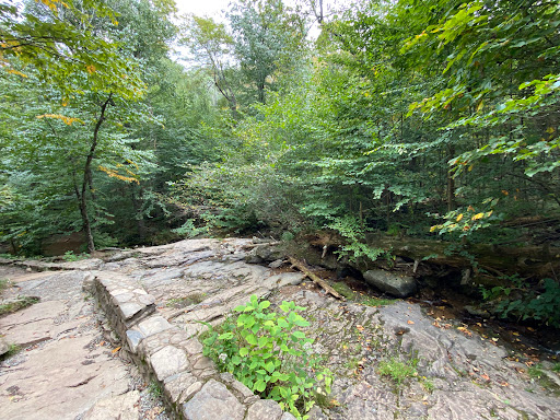 Dark Hollow Falls, Shenandoah National Park - Thumbnail