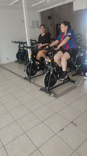 GYM JULS - Visual