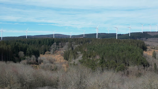 Lesquerde - Visual