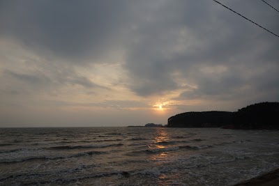 Photos of 몽산포해수욕장