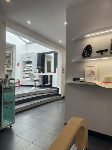 DESSANGE COIFFEUR LE RAINCY Logo