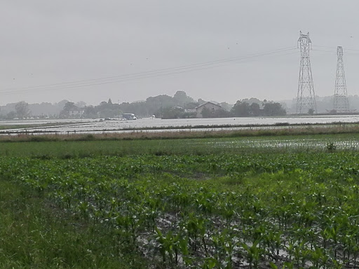 Securit Habitat Sarl - Thumbnail