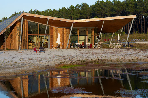 Photo de Les échasses à Saubion (40230)