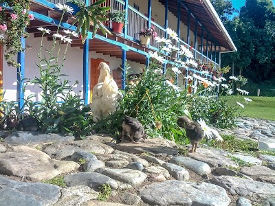 Photos of Planes De San Rafael.