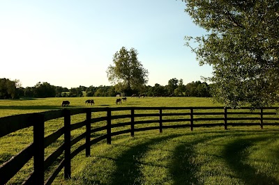 Charred Oaks Inn