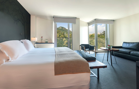 Ismael Hotel by null