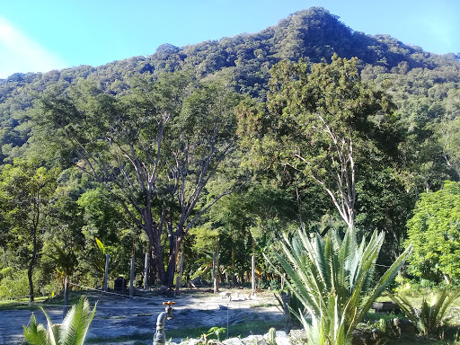 Finca Monte Carlo - Thumbnail
